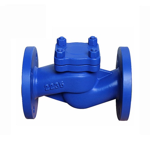 lift type check valve manufacturer India