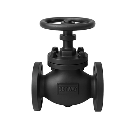 flanged end globe valve class 300 India