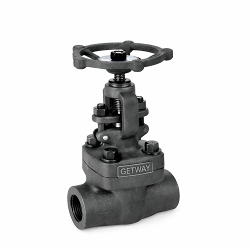 forged steel gate valve class 800 manufacturer India