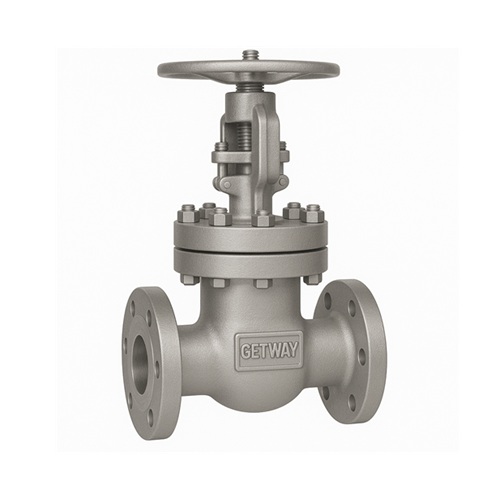 gate valve class 150 manufacturer in India