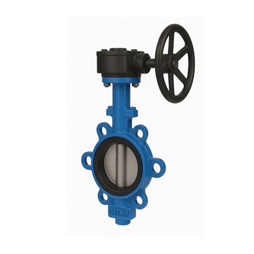lug type industrial butterfly valve Ahmedabad