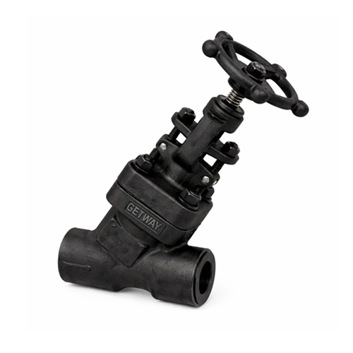 steam globe valve supplier in India
