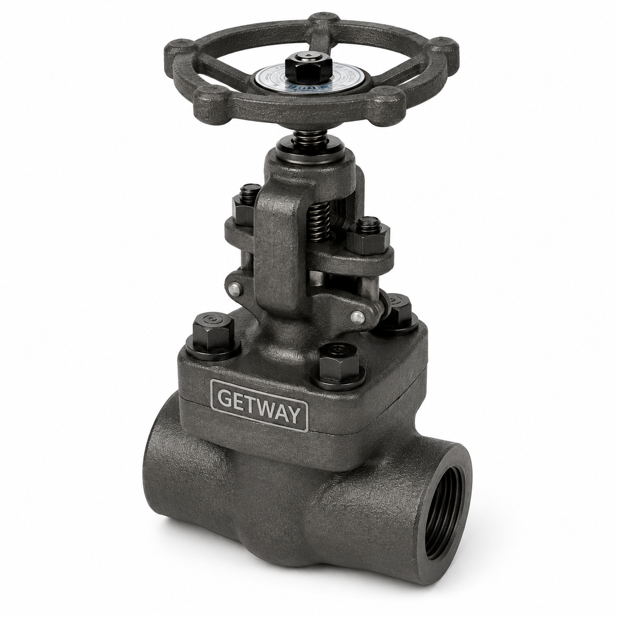 Forged Steel Gate Valve Class 800